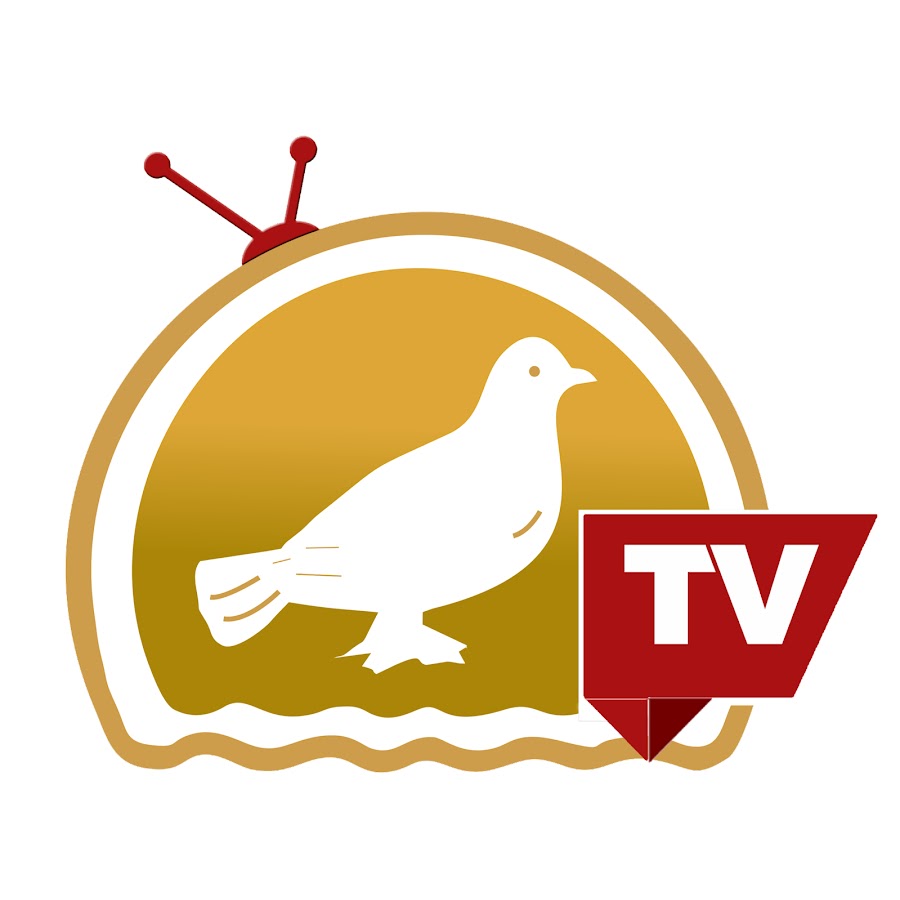 Siasat TV YouTube channel avatar