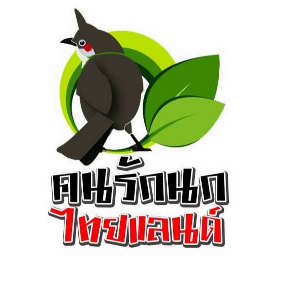 Thai Bird YouTube channel avatar