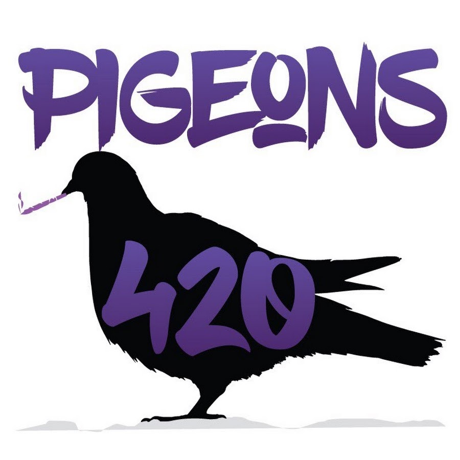 Pigeons 420 YouTube 频道头像