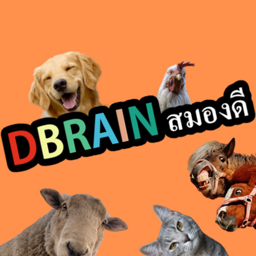 DBrain à¸ªà¸¡à¸­à¸‡à¸”à¸µ YouTube 频道头像