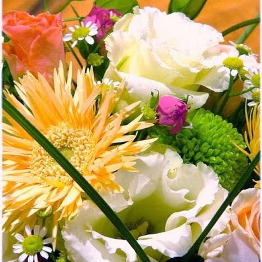 Choujin Tairiku Youtube