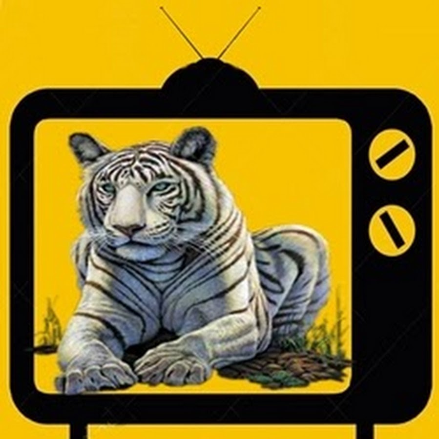 TV nEVICIO YouTube channel avatar