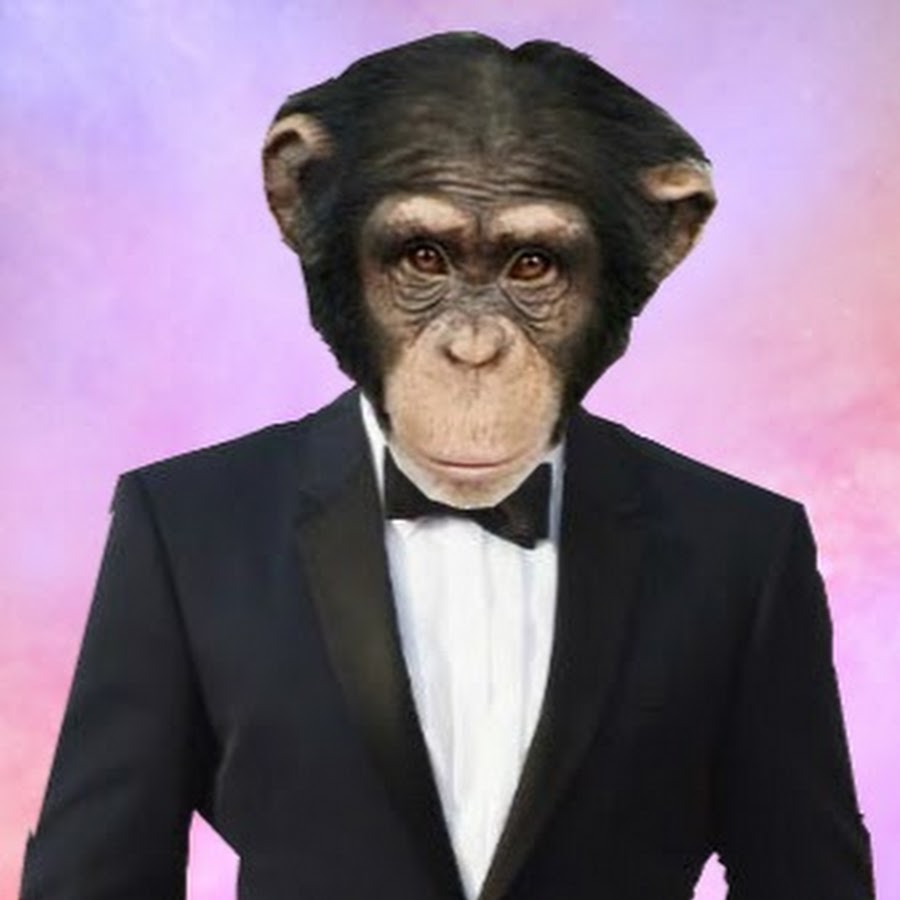 The Primate YouTube-Kanal-Avatar