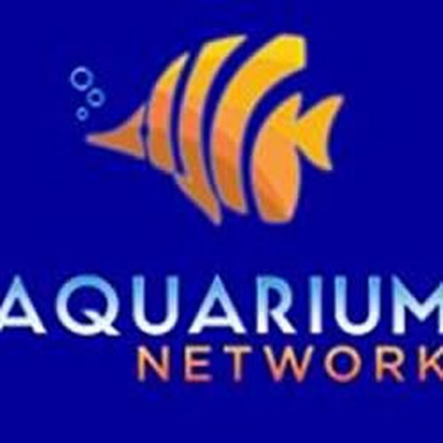Aquarium Network Avatar de canal de YouTube