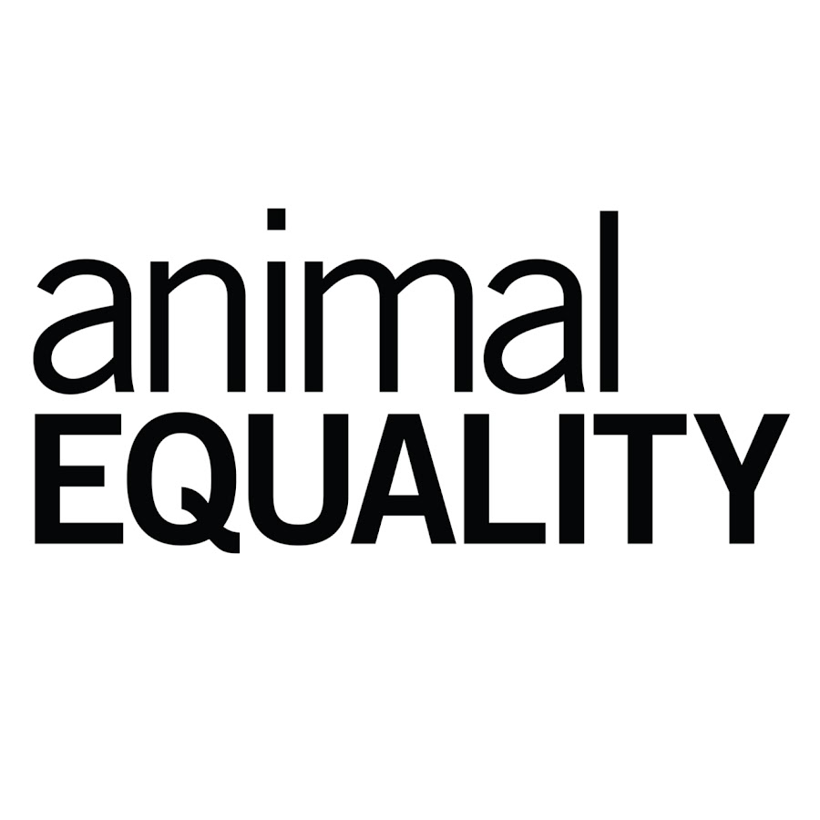 Animal Equality यूट्यूब चैनल अवतार