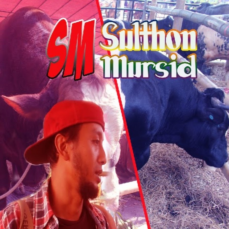 Sulthon Mursid رمز قناة اليوتيوب