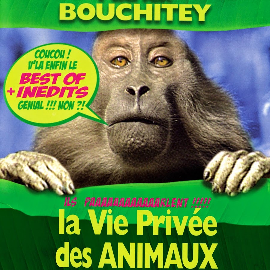 La vie privÃ©e des animaux de Patrick Bouchitey - Officiel YouTube channel avatar