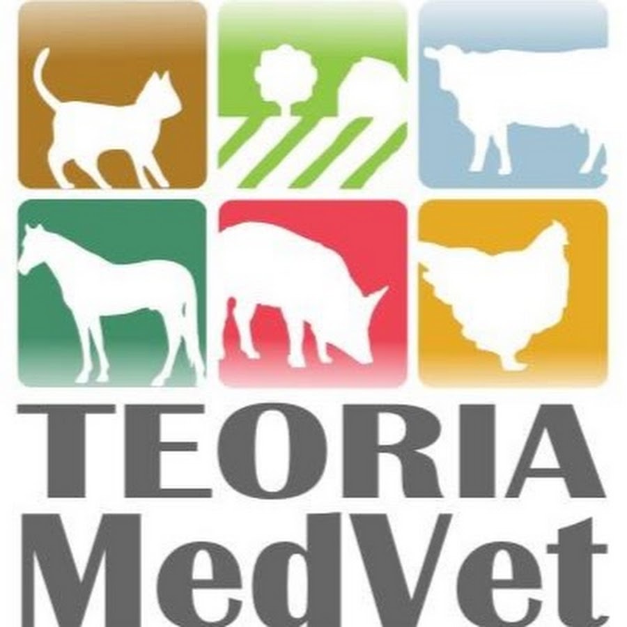 Teoria MedVet Avatar canale YouTube 