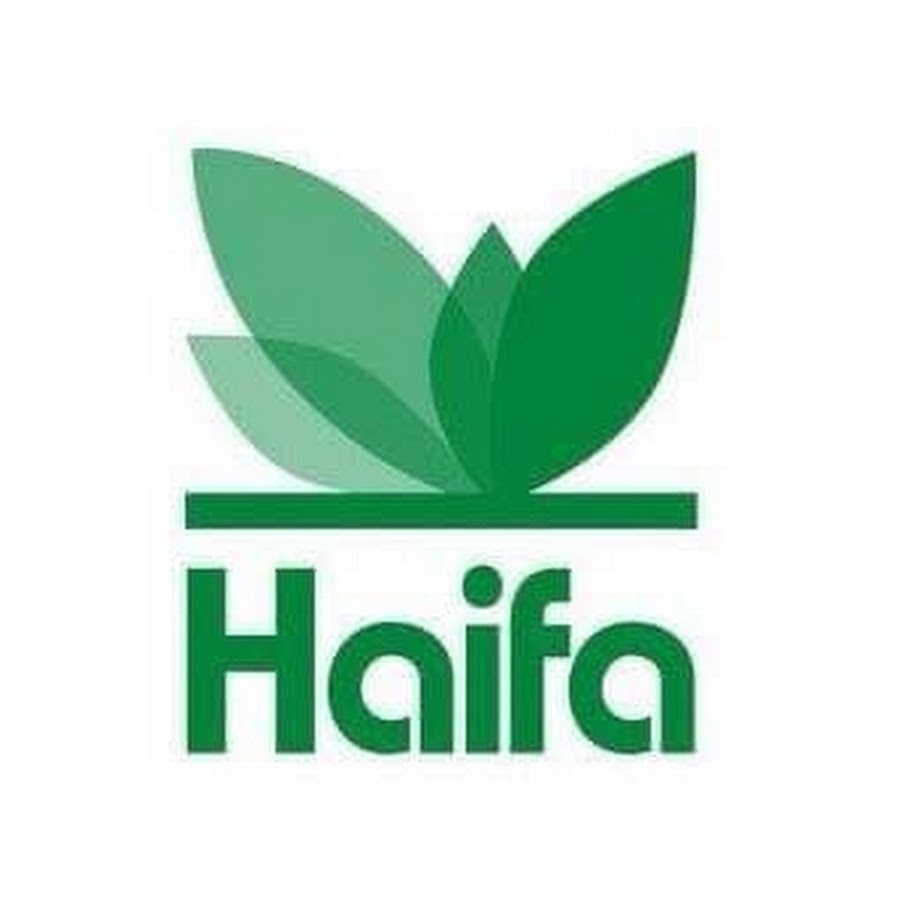 Haifa Group -