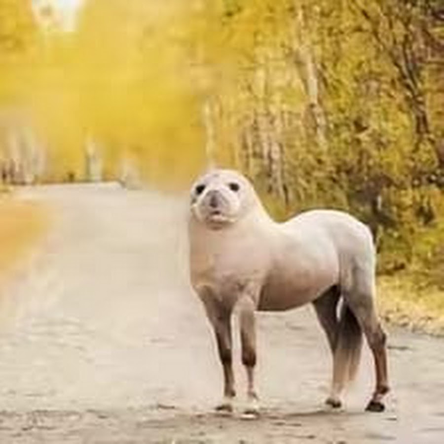 севинч муминова 2019. Aziza rajabova. севинч муминова 2021. Nargiza azimova. юлдуз тургунова.