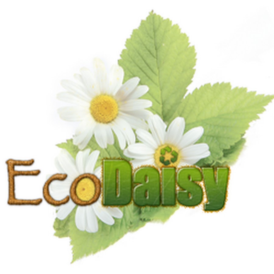 EcoDaisy YouTube channel avatar