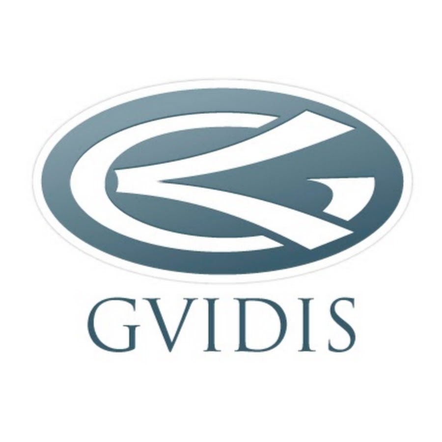 Gvidis YouTube channel avatar