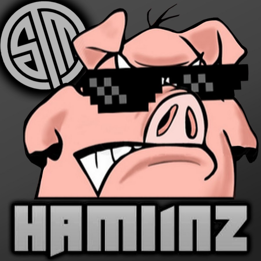 Hamlinz YouTube kanalı avatarı