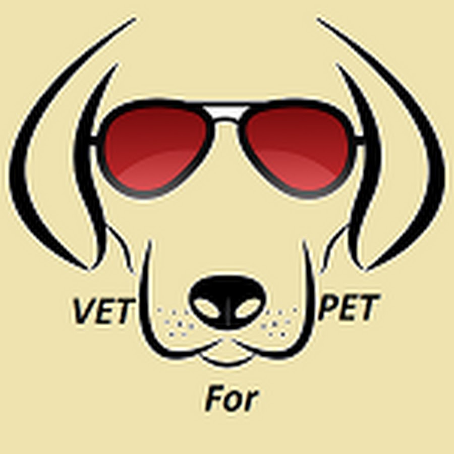 VET For PET YouTube channel avatar