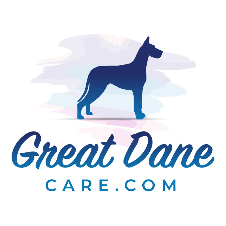 Great Dane Care YouTube channel avatar