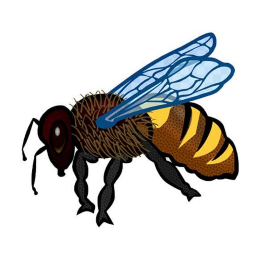 Fly Beesd YouTube-Kanal-Avatar