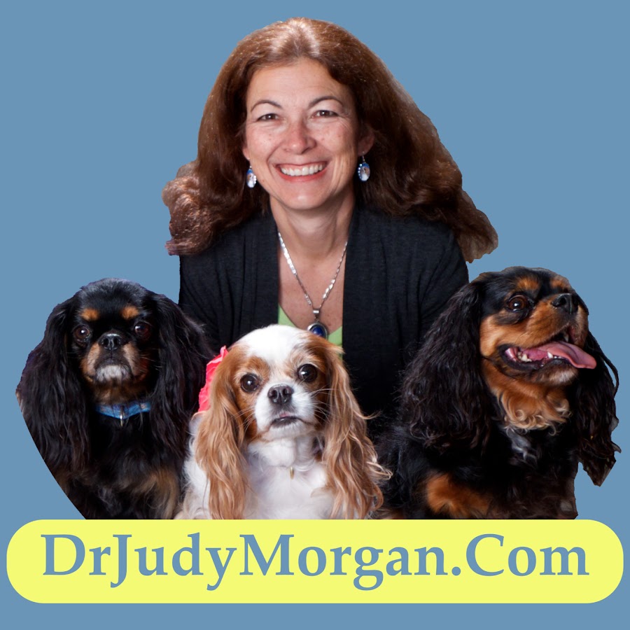 Judy Morgan D.V.M. Avatar canale YouTube 