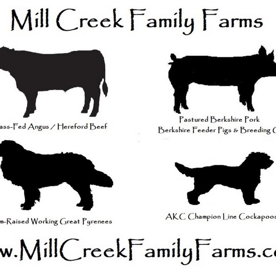 Mill Creek Family Farms YouTube channel avatar