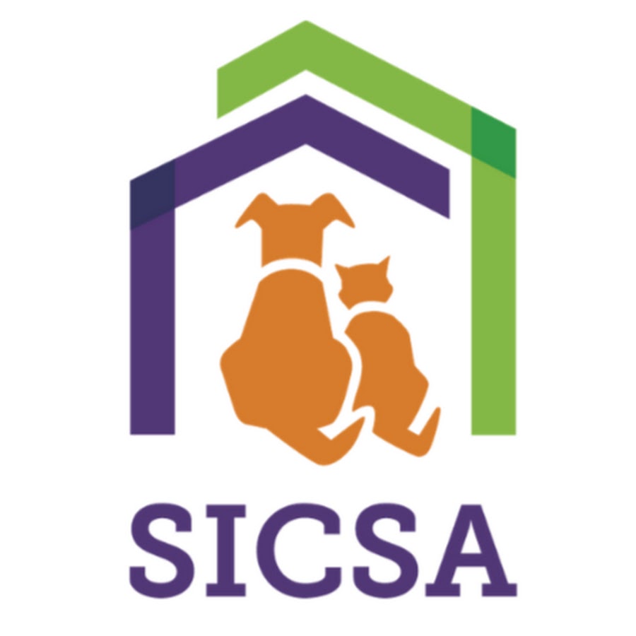 SICSA Pet Adoption Center Avatar canale YouTube 