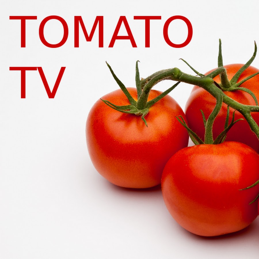 Tomato Tv YouTube channel avatar