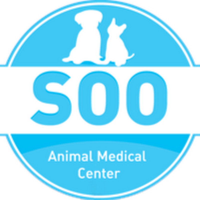24시 수동물병원 profile image