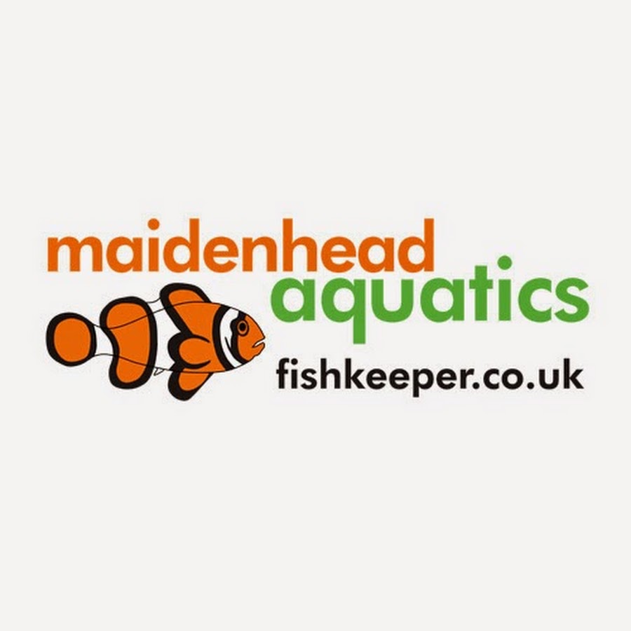 Maidenhead Aquatics Аватар канала YouTube