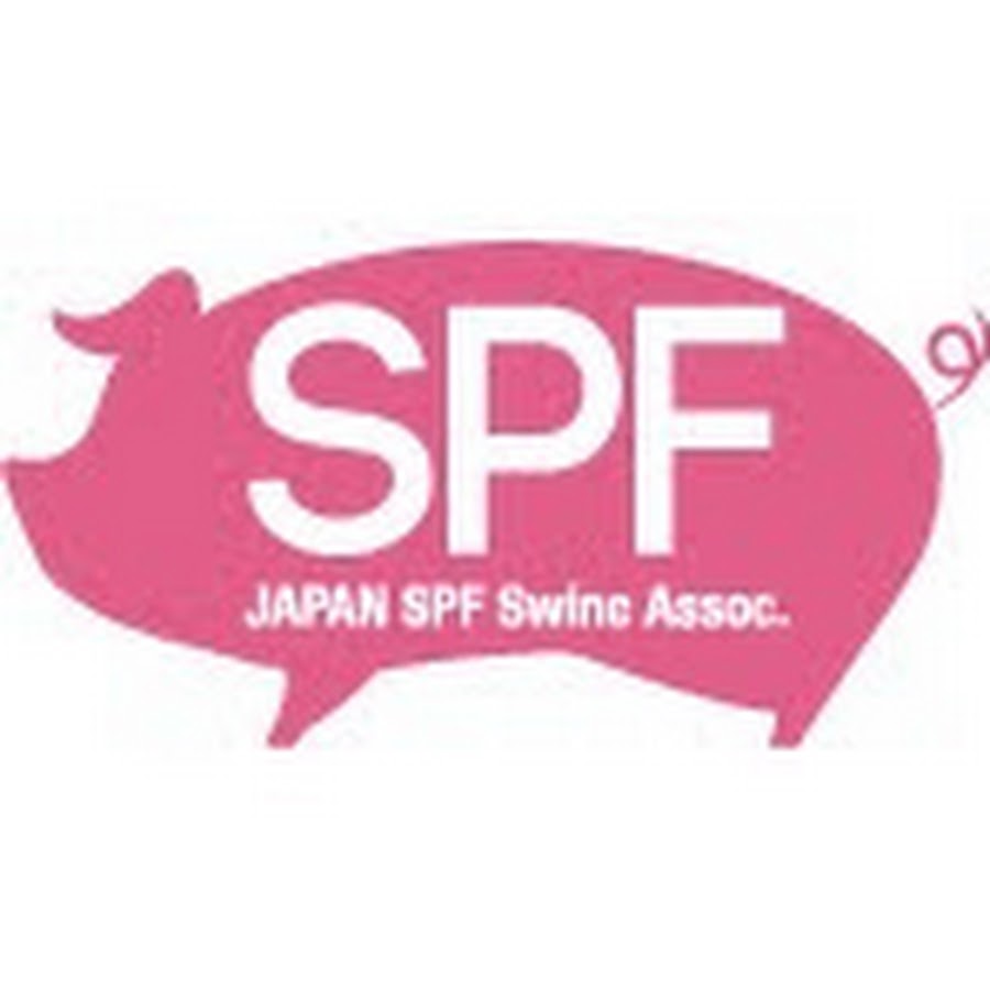 Spf豚協会 Youtube
