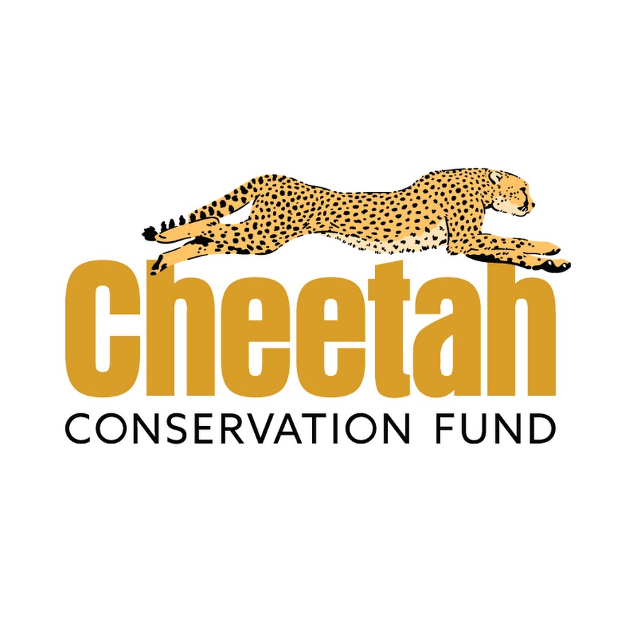 Cheetah Conservation Fund Avatar del canal de YouTube