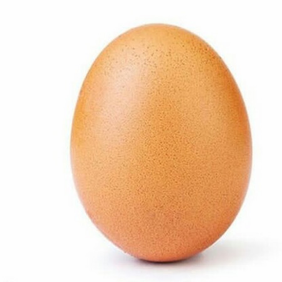 Egg Busuk
