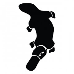 Thumbnail of related channel