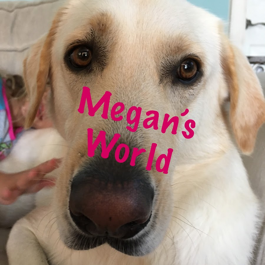 Megan's World Awatar kanału YouTube