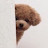 jiyeong An
