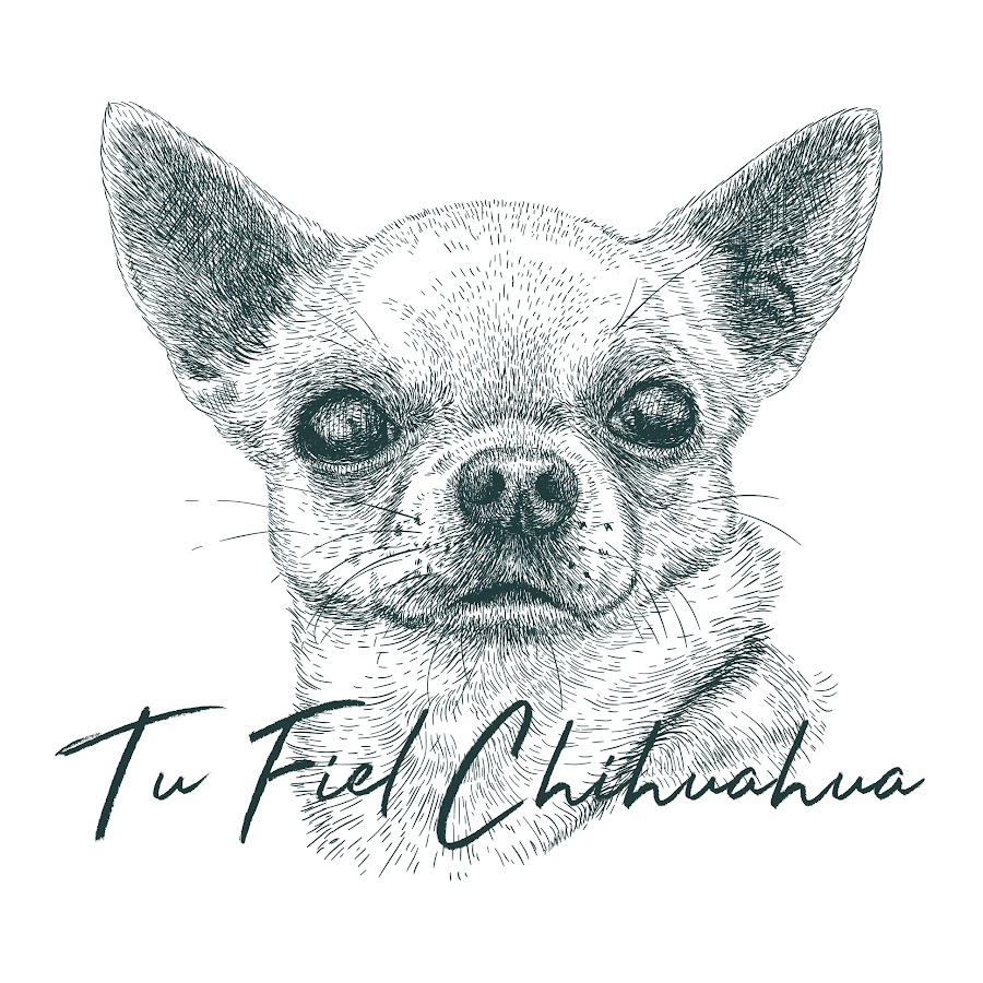 Tu Fiel Chihuahua