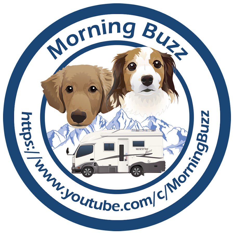 MorningBuzz رمز قناة اليوتيوب