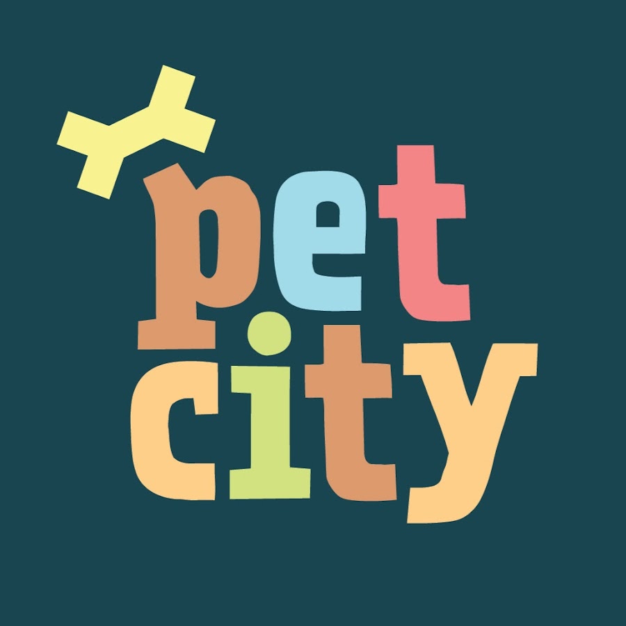 PetCity YouTube channel avatar