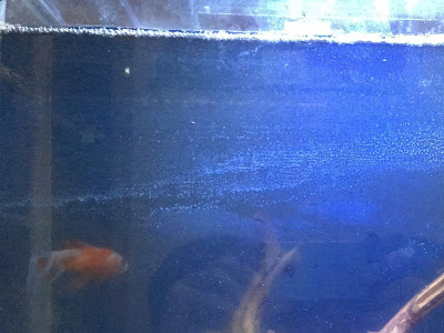 リリィパイプ 自作 100均 330728-リリィパイプ 自作 100均