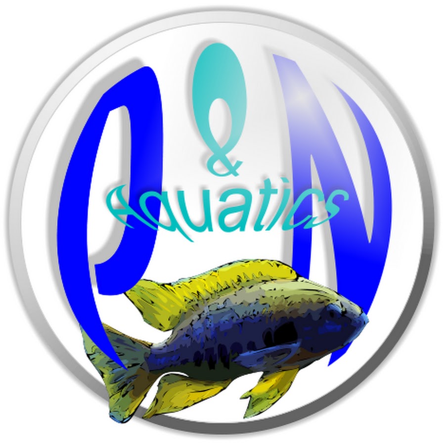 P&N Aquatics YouTube kanalı avatarı