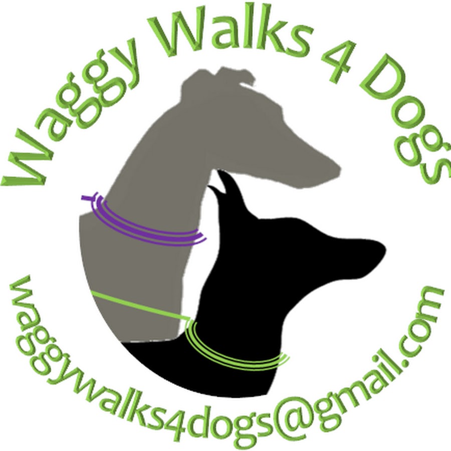 Waggy Walks 4 Dogs Avatar de canal de YouTube