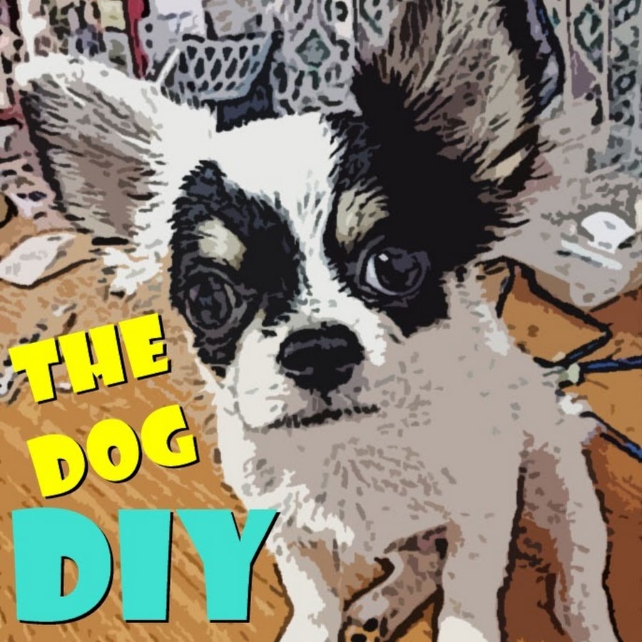 TheDog DIY YouTube channel avatar