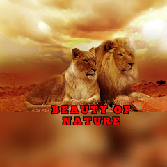 BEAUTY OF NATURE