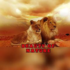 BEAUTY OF NATURE