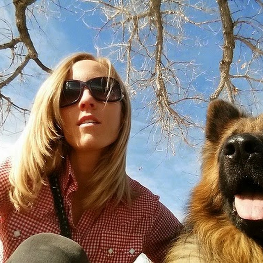 PAVLOV Dog Training Denver YouTube channel avatar