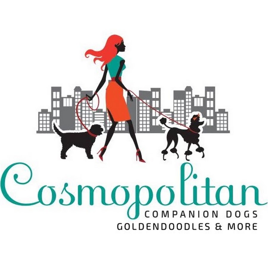 Cosmopolitan Companion Dogs Avatar channel YouTube 