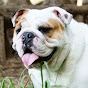 Lawrence Tiberus Kerr - @LarryBulldog YouTube Profile Photo