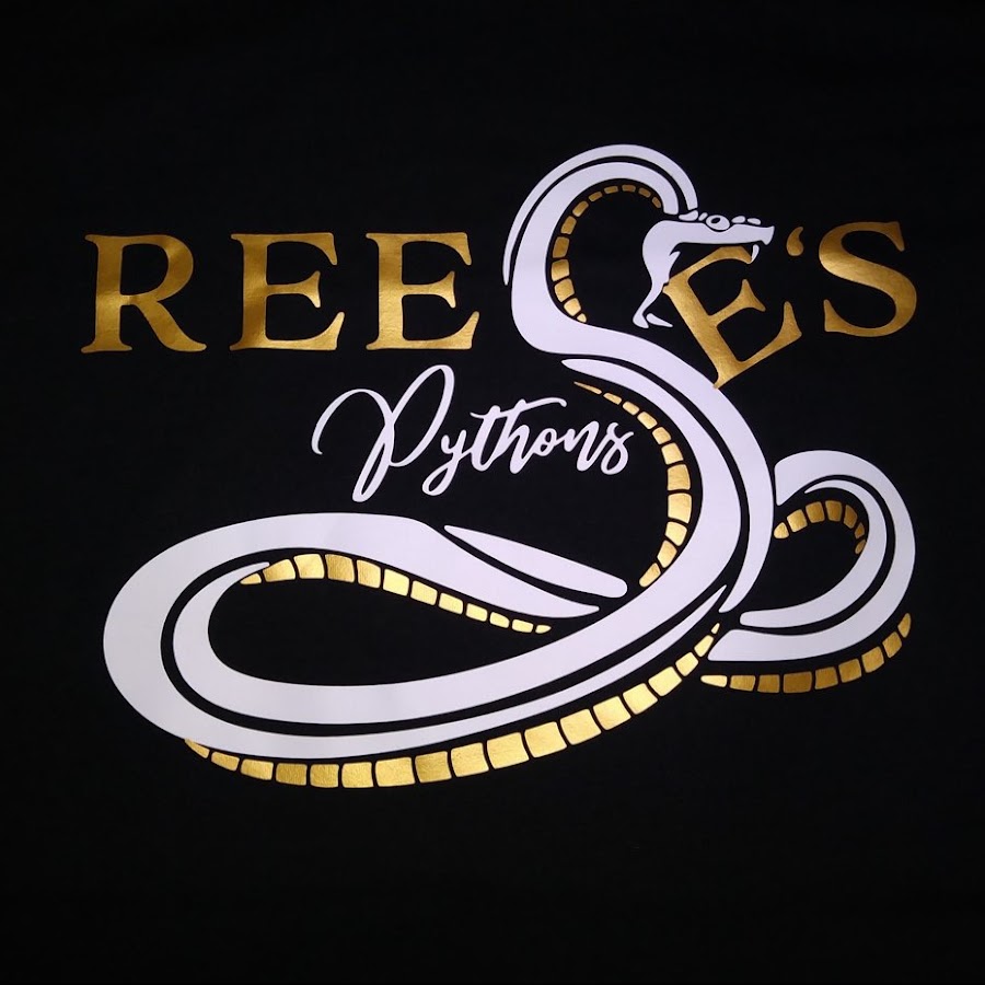 Reeses Pythons YouTube 频道头像
