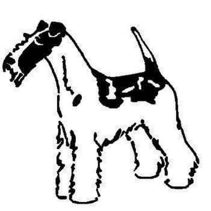 English Foxhound Foxhound Ingles イングリッシュ フォックスハウンド Akc Dog Breed Series Funnydog Tv