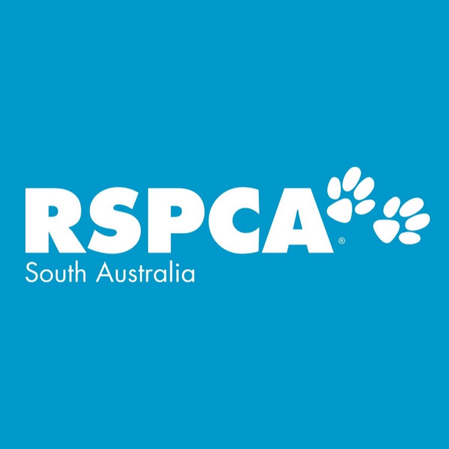 RSPCA South Australia Awatar kanału YouTube