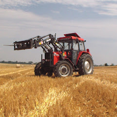 simba8820