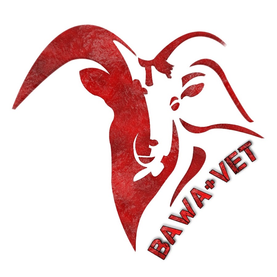 BAWA VET رمز قناة اليوتيوب
