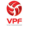 What could VPF Media buy with $100 thousand?